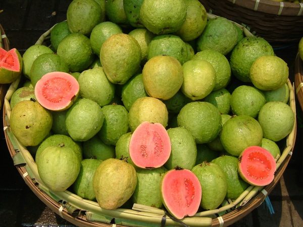 Guava (Peyara) - Image 2