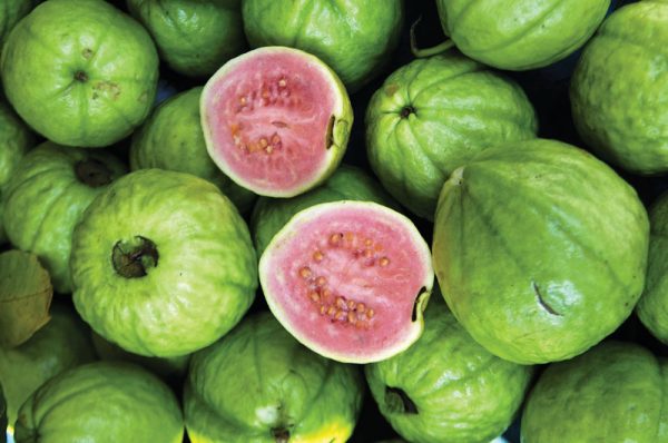 Guava (Peyara)