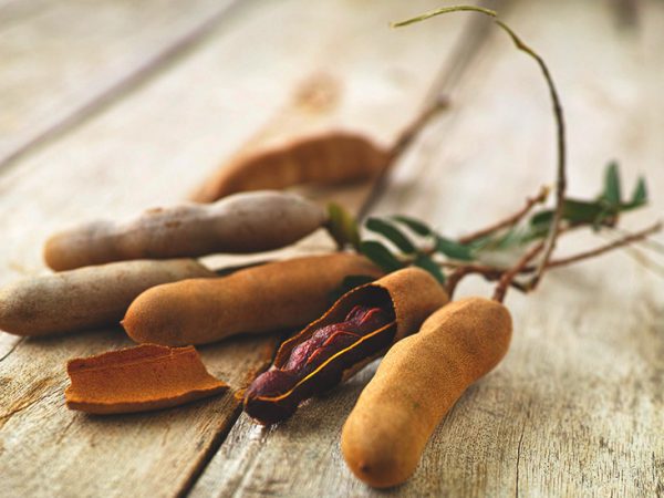 Tamarind (Tetul)