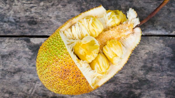 Jackfruit (Kathal)