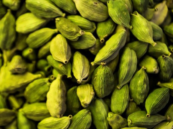 Cardamom(Alarchi)